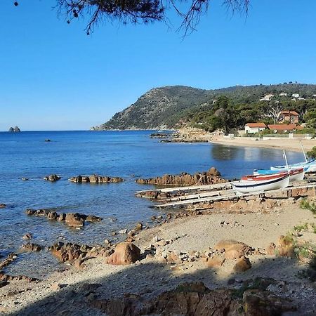 Les Bois Flottes . Plage De La Verne Ла-Сейн-сюр-Мер Екстер'єр фото