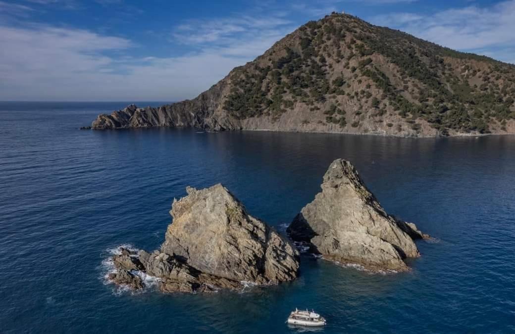 Les Bois Flottes . Plage De La Verne Ла-Сейн-сюр-Мер Екстер'єр фото