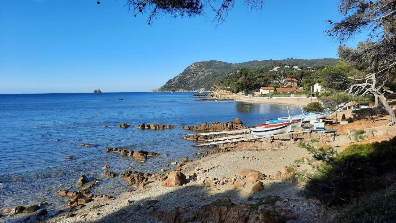 Les Bois Flottes . Plage De La Verne Ла-Сейн-сюр-Мер Екстер'єр фото